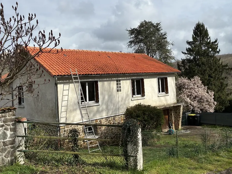Travaux de démoussage et nettoyage de toiture à Mervent