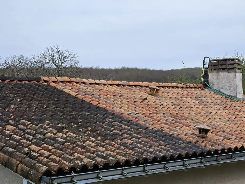Intervention finale Eco pro net 85