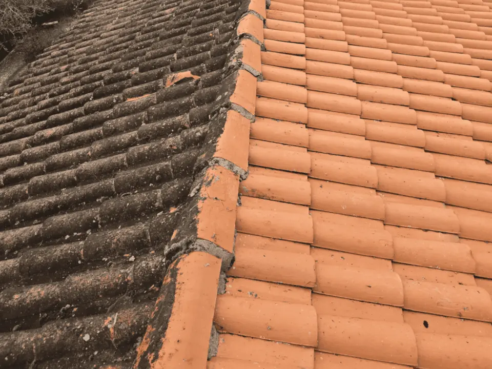 Toiture en cours de démoussage à Mervent : tuiles noircies par la mousse à gauche, tuiles propres à droite